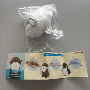 キタンクラブ かわいいかわいいぬいぐるみ 水族館のいきもの アザラシ ガチャガチャ