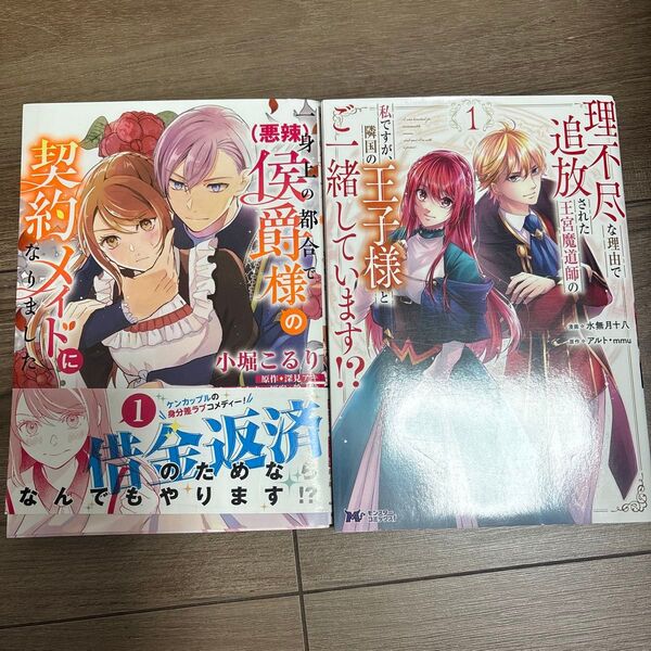 【2冊セット】理不尽な理由で追放された王宮魔道師の私ですが、隣国の王子様とご一緒しています!? 1 他漫画 TLコミック