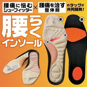 腰らくインソール 中敷き 腰痛対策 内側傾斜