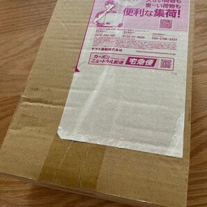 ポケモンカードゲーム ブラックボルト デラックスBOX 未開封 シュリンク付