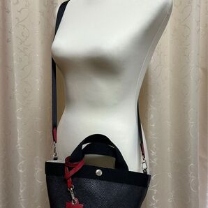 Herve Chapelier エルベシャプリエ GPラインショルダーバッグ 1662Aと2701GPのセット