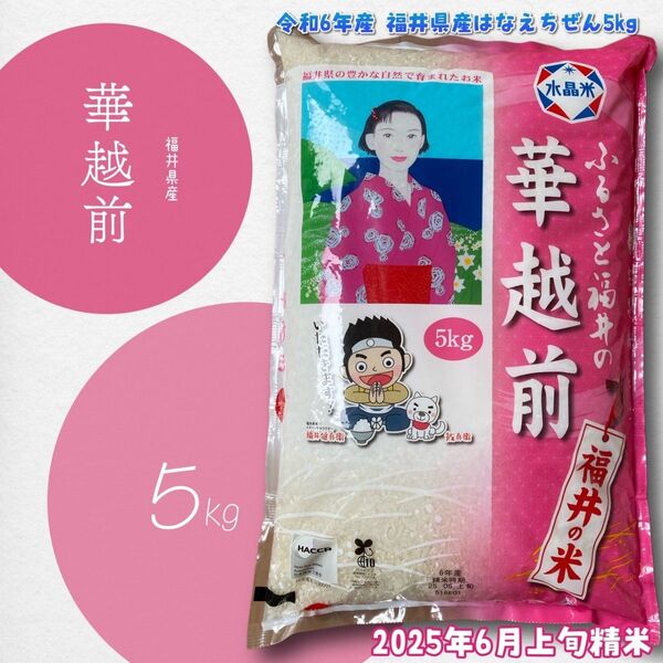 【売りつくし】福井県産 華越前 5kg 単一原料米 精米_2025年6月上旬 令和6年産 銘柄米 スピード発送