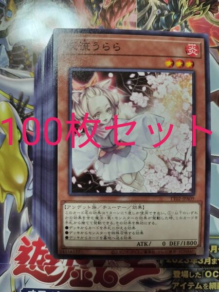 遊戯王 灰流うらら ノーマル 100枚セット 汎用カード まとめ売り 大量 はるうらら ハルウララ タクティカルトライデッキ収録