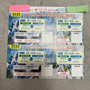 ナガシマスパーランド パスポート券 2枚