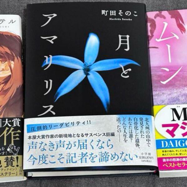 月とアマリリス 小説 文庫本