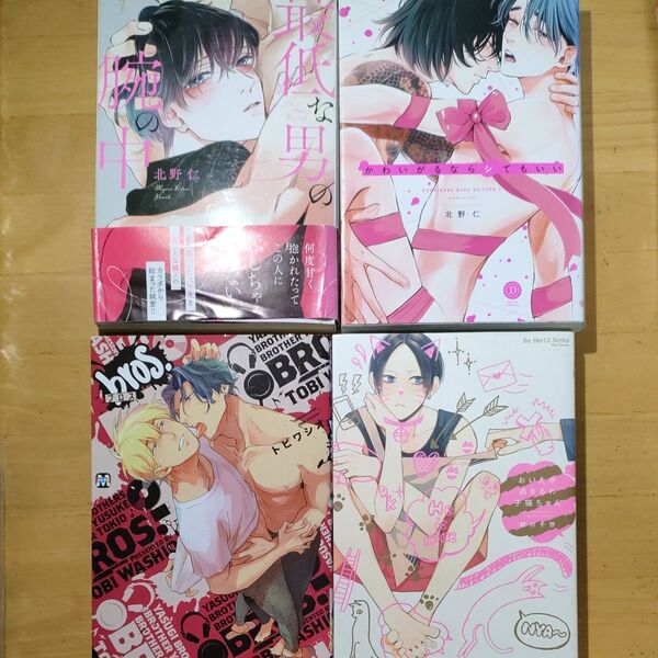 北野仁 最低な男の腕の中/ かわいがるならシてもいい/おいたが過ぎるわ子猫ちゃん 緒川千世/bros.ブロス トビワシオ BL4冊