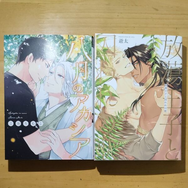 放蕩王子と囚われの獣 爺太/ 八月のアカシア 三池ろむこ BLコミック 初版2冊セット