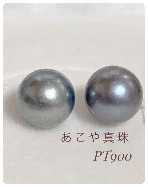 A881 新品未使用【PT900】プラチナ 艶照強 コバルトブルー 天然あこや真珠 スタッドピアス 本真珠 アコヤ真珠ピアス