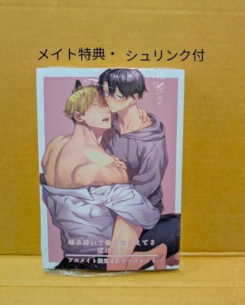 BLコミック 噛み砕いて愛をおしえて(3)小冊子付特装版 ぽけろう