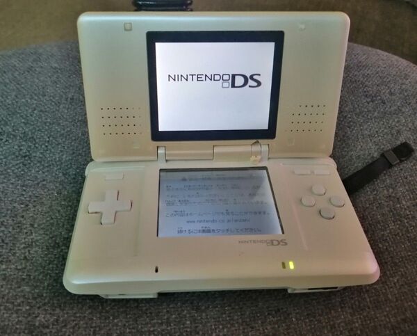 ジャンク品 ニンテンドーDS 本体