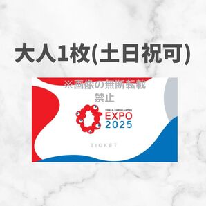 大阪万博 チケット 一日券 1枚