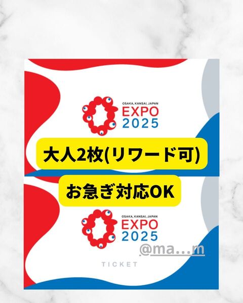 ペア 大阪万博 チケット 一日券 大人 2枚