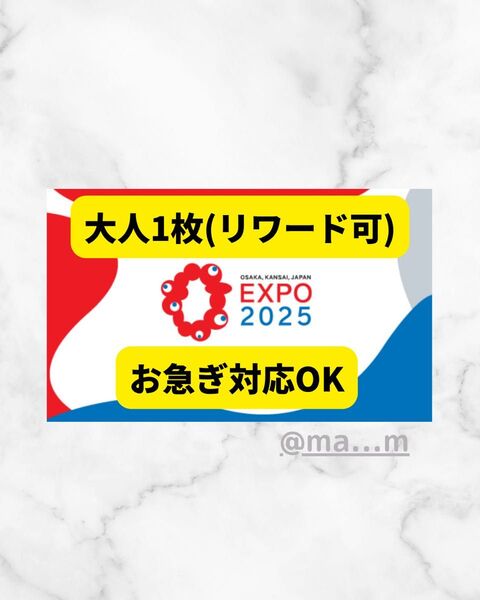 大阪万博 チケット 一日券 1枚