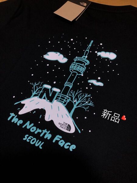 新品 XXL ノースフェイス メンズ 半袖Tシャツ 黒