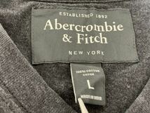 ☆送料無料☆ Abercrombie&Fitch アバクロンビー&フィッチ 古着 海外直輸入 半袖 Tシャツ メンズL トップス Vネック 中古 即決_画像7