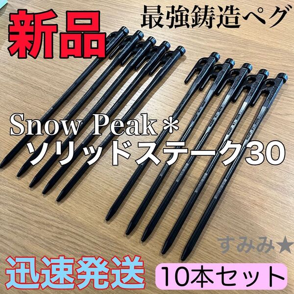 新品★スノーピーク(snow peak) ペグ 10本セット ソリッドステーク 30 R-103 鋳造ペグ キャンプ テント設営
