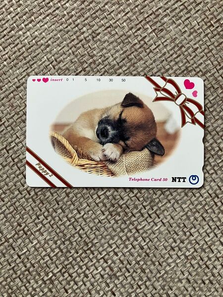 居眠り子犬☆テレフォンカード【未使用】テレホンカード☆テレカ☆コレクション☆★お値引き不可