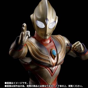 S.H.Figuarts 真骨彫 グリッターティガ 魂ネイション 2023 開催記念品