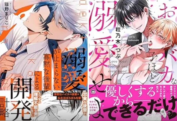 BL新刊 粒乃木つぶ おバカな子ほど溺愛せよ、猫野まりこ 溺愛が止まらない寡黙な後輩による開発計略