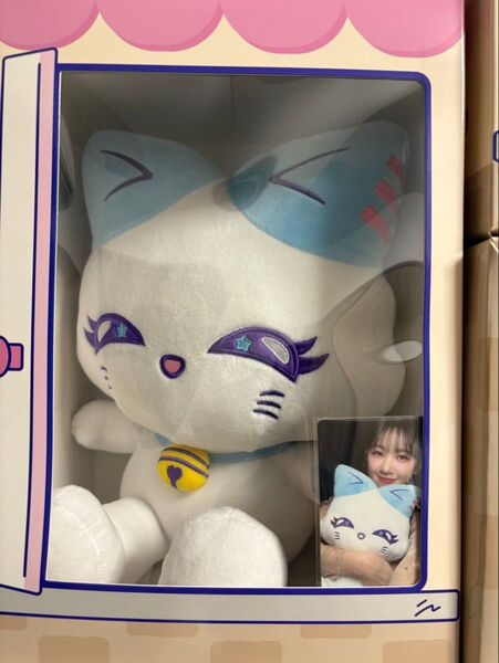 加藤心 CORON おすわりME:EYE's ぬいぐるみのみ