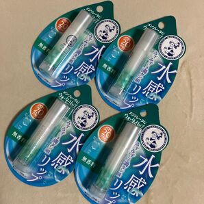 ウォーターリップ 無香料 4本セット