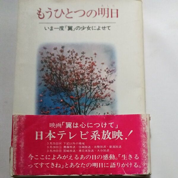 もうひとつの明日