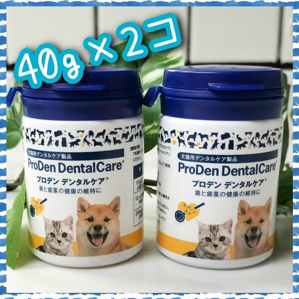 プロデン デンタルケア 40g ×2