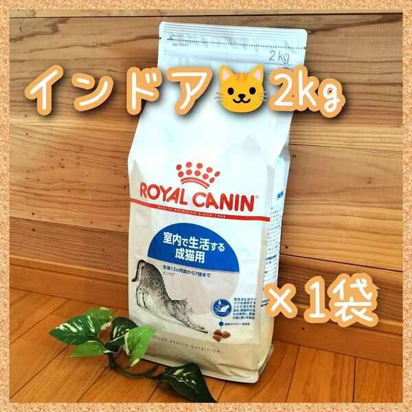 ロイヤルカナン インドア 室内で生活する成猫用~7歳まで 2kg×1袋
