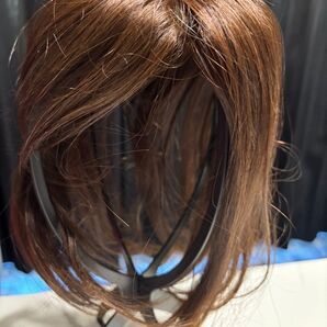 未使用 人毛100% 部分ウィッグ ヘアピース 人工肌
