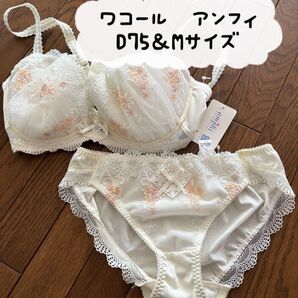 ワコール アンフィ D75&Mサイズ ブラ&ショーツセット
