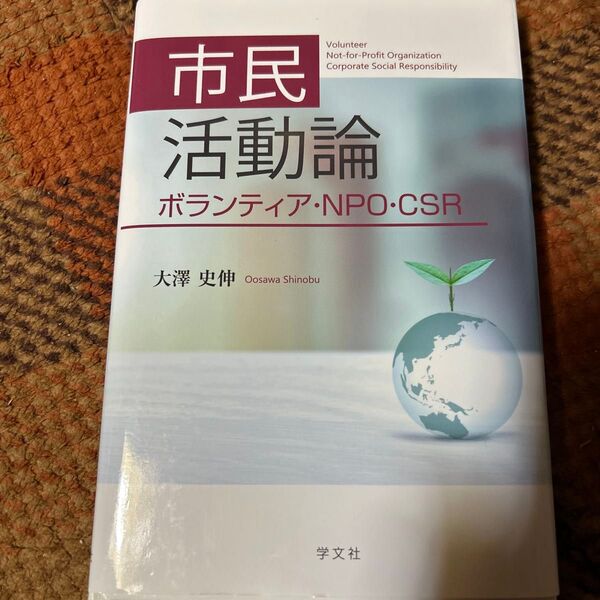 市民活動論 ボランティア・NPO・CSR 大澤史伸
