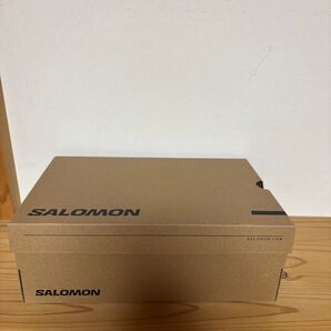 SALOMON シューズ 空29cm