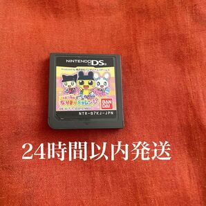 ※値下げ不可※ たまごっちのなりきりチャレンジ DS ソフト カセット