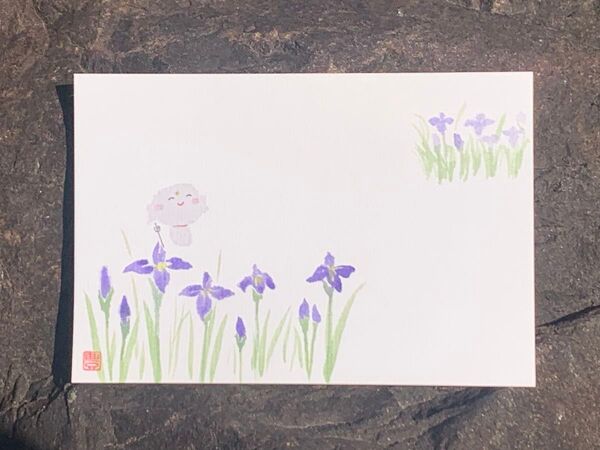 ポストカード 原画 菖蒲 杜若 燕子花 お地蔵さん