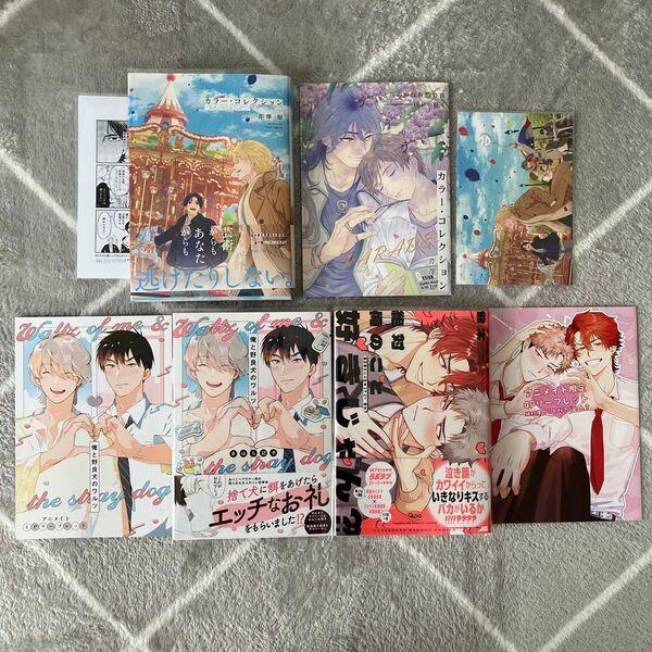 BL マンガ 特典セット 1 アニメイトリーフレット とらのあな 小冊