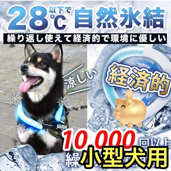 ネッククーラー 犬用 犬 冷感リング クールリング ペット用 首 冷却 冷感
