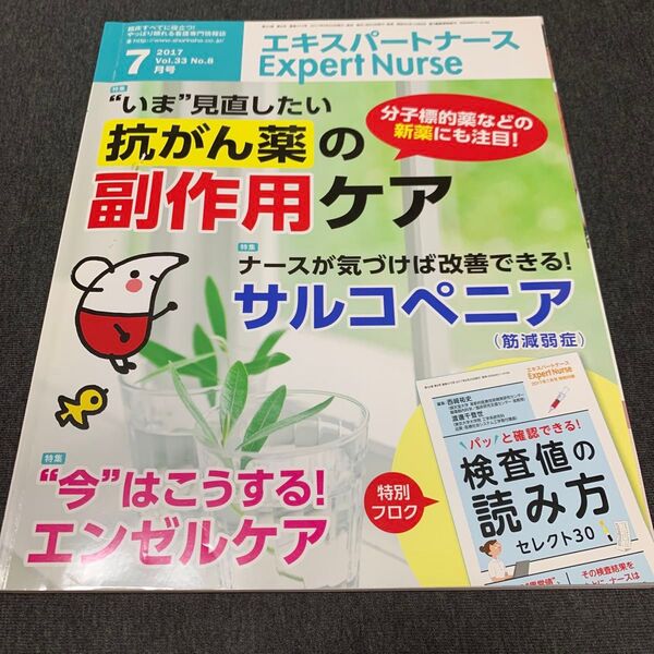 Expert Nurse (2017年7月号) 月刊誌/照林社 付録なし