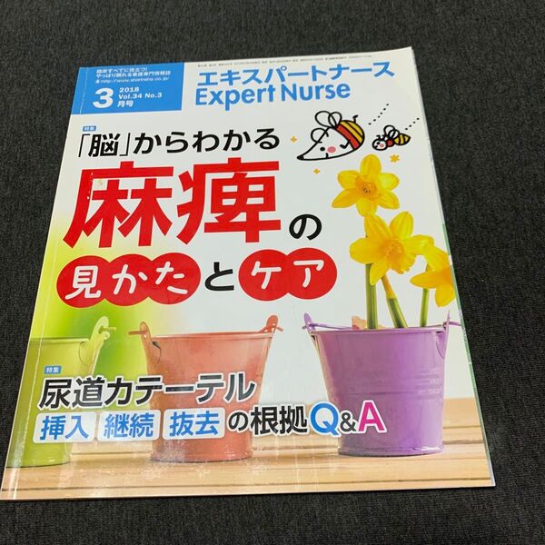 Expert Nurse (2018年3月号) 月刊誌/照林社