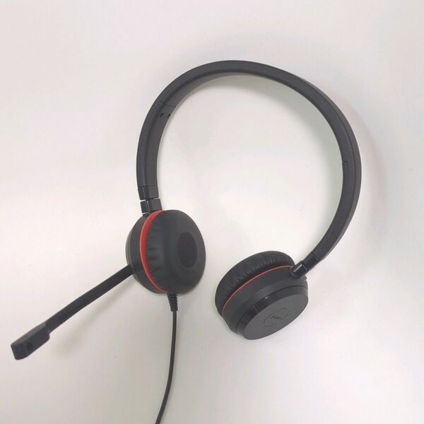 Jabra EVOLVE 20 MS SE 有線 ヘッドセット ノイズキャンセリングマイク USB接続 ケース付