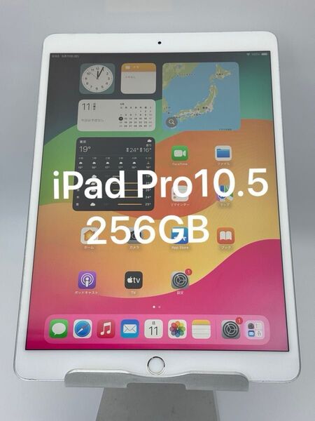 ipad Pro10.5 インチ256GB