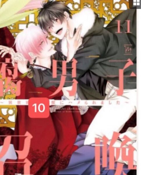 腐男子召喚~異世界で神獣にハメられました~(11)通常版