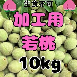 若桃 摘果桃 10kg 加工用