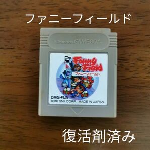 ゲームボーイ ファニーフィールド