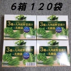 野菜青汁 6箱 乳酸菌 大麦若葉 青汁