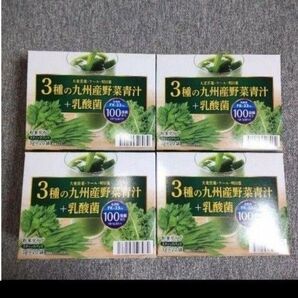 野菜青汁 4箱 乳酸菌 大麦若葉 青汁