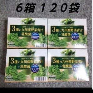 野菜青汁 6箱 乳酸菌 大麦若葉 青汁