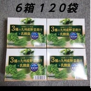 野菜青汁 6箱 乳酸菌 大麦若葉 青汁