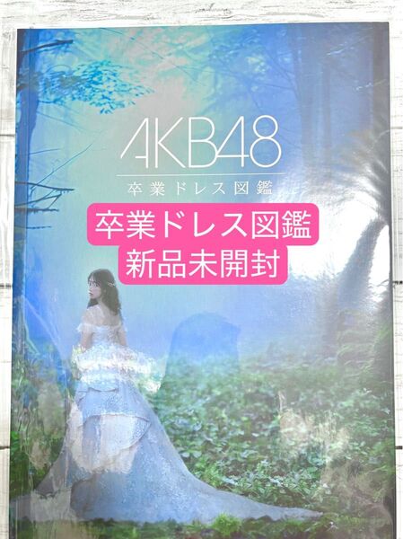 AKB48 卒業ドレス図鑑 新品未開封 オサレカンパニー 茅野しのぶ