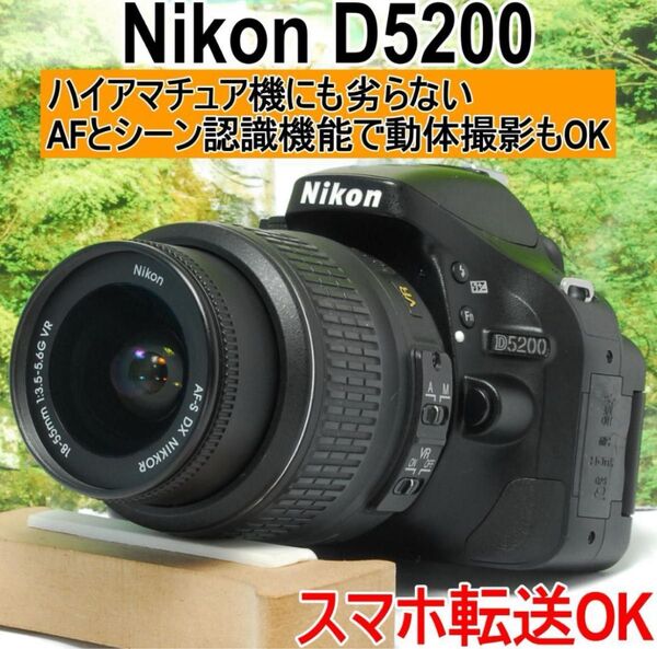 ハイアマチュア機にも劣らない性能 Nikon D5200 初心者向け 高画質!!