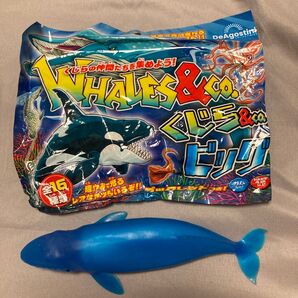 シロナガスクジラ フィギュア ディアゴスティーニ くじら&co. WHALES&co.